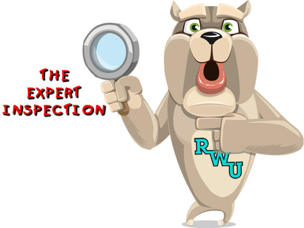 Rodney Webb The Expert Inspection course image
